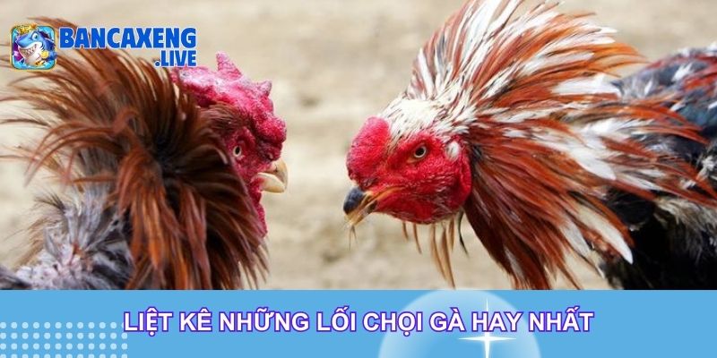 Liệt kê những lối chọi gà hay nhất Liệt kê những lối chọi gà hay nhất